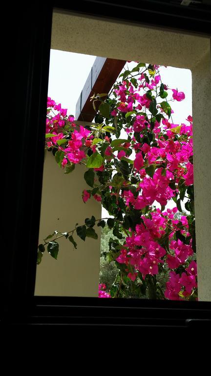 Thea Houses Milina Dış mekan fotoğraf
