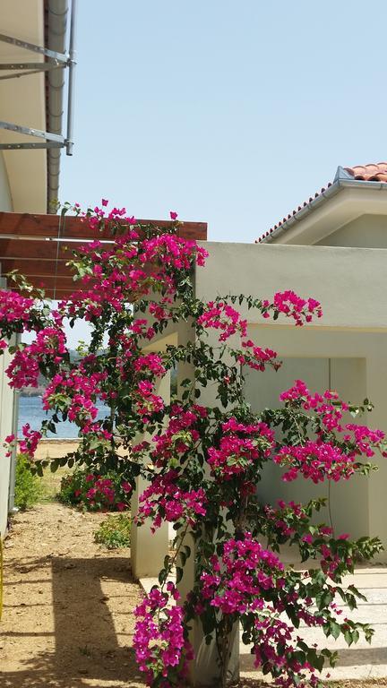 Thea Houses Milina Dış mekan fotoğraf